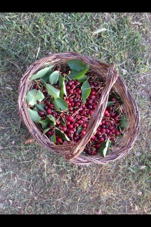 Willa Valle Maira, Agriturismo Nel Parco Dei Nebrodi Tortorici Zewnętrze zdjęcie
