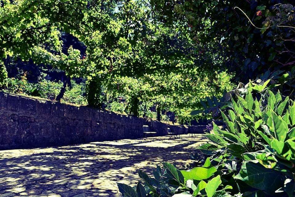 Willa Valle Maira, Agriturismo Nel Parco Dei Nebrodi Tortorici Zewnętrze zdjęcie