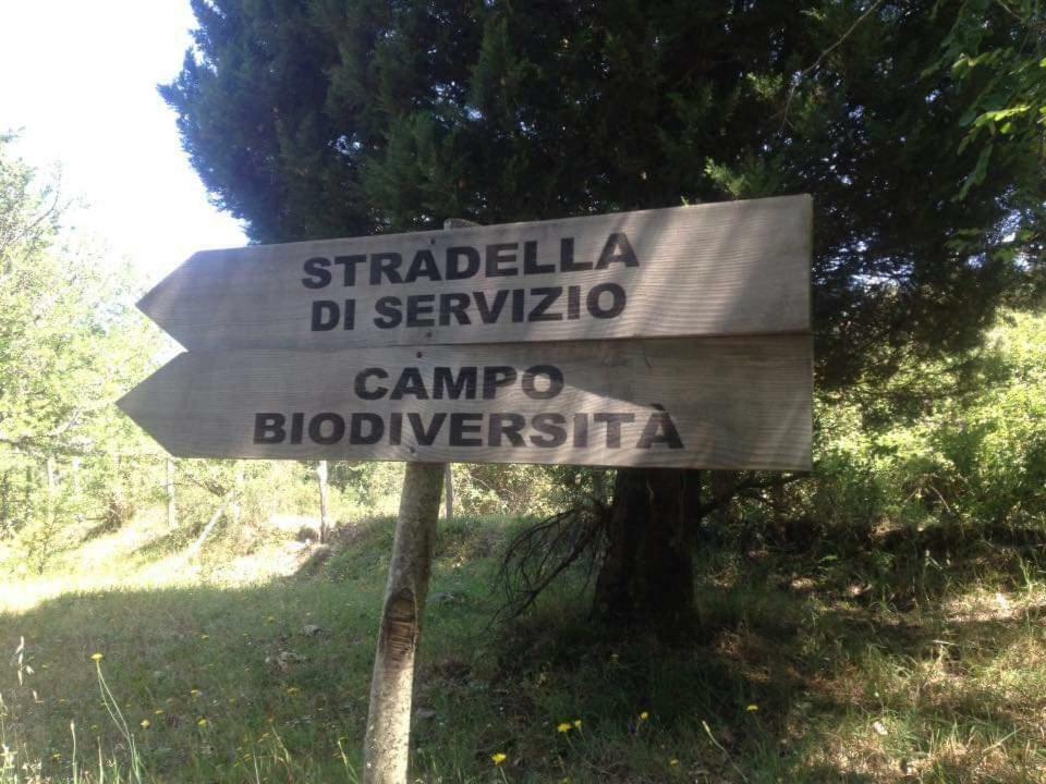 Willa Valle Maira, Agriturismo Nel Parco Dei Nebrodi Tortorici Zewnętrze zdjęcie