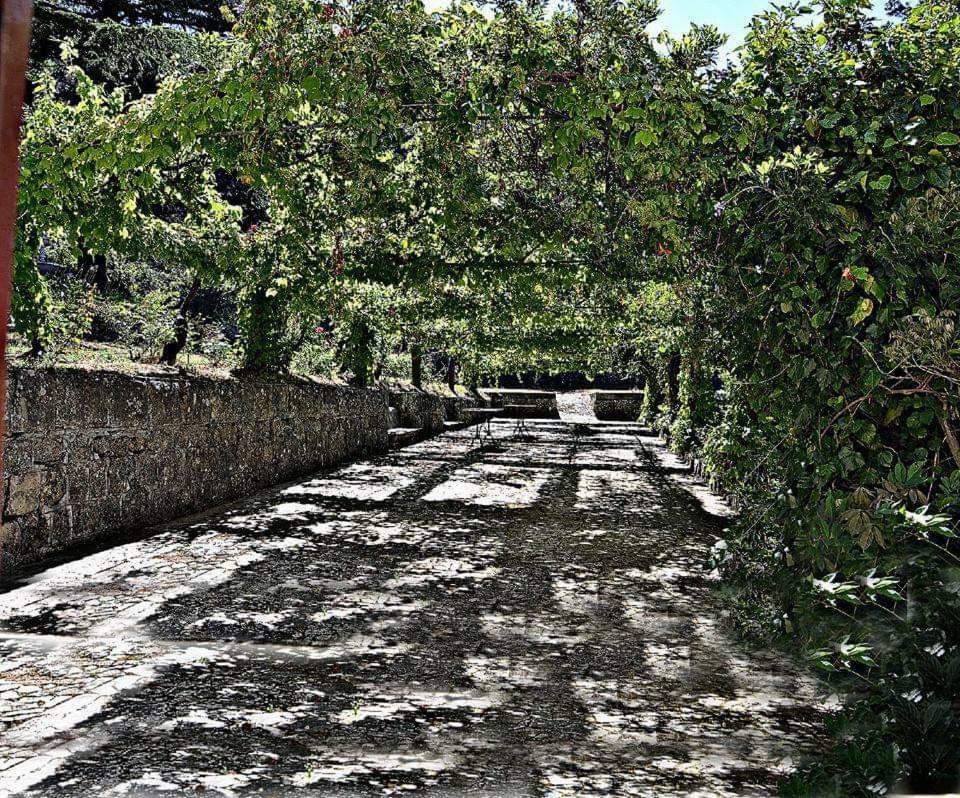 Willa Valle Maira, Agriturismo Nel Parco Dei Nebrodi Tortorici Zewnętrze zdjęcie