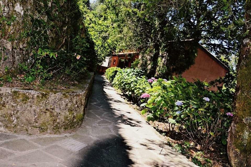 Willa Valle Maira, Agriturismo Nel Parco Dei Nebrodi Tortorici Zewnętrze zdjęcie